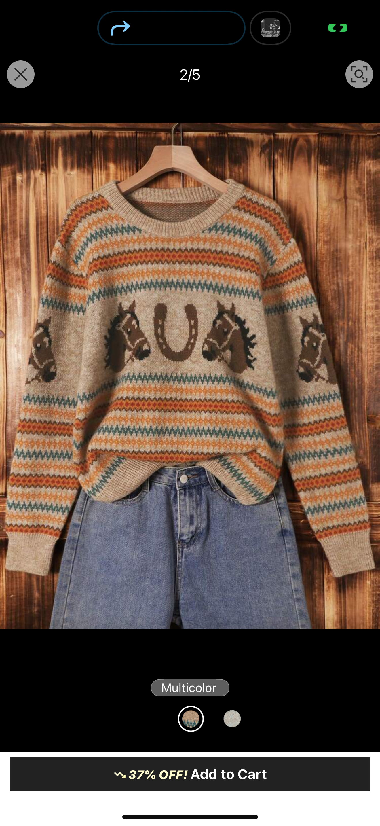 Lucky Horse Shoe Sweater